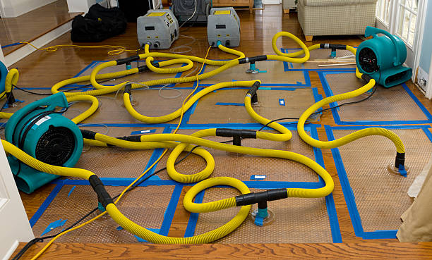 Professional Basement Flood Cleanup technician working in Eagle Grove, IA